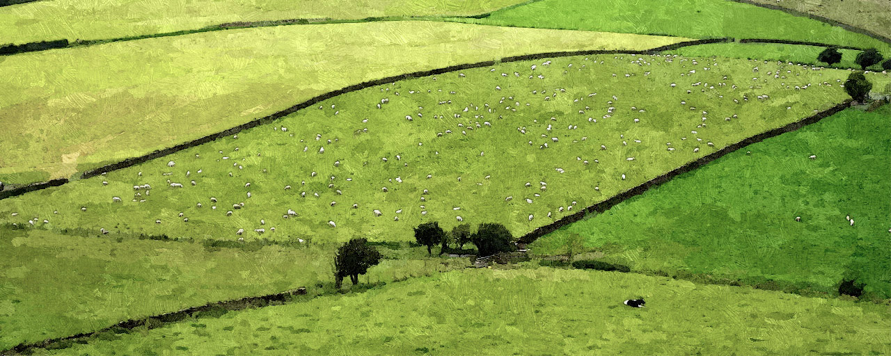 View of Yokshire  countryside